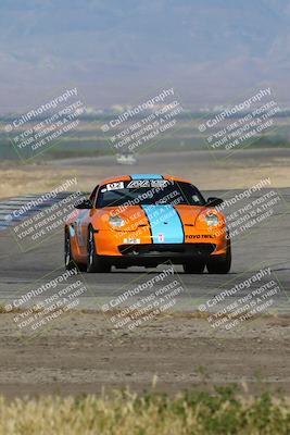 media/May-03-2024-PCA Central Coast (Fri) [[eaa7da0ee1]]/Red Group/Session 1 (Grapevine)/